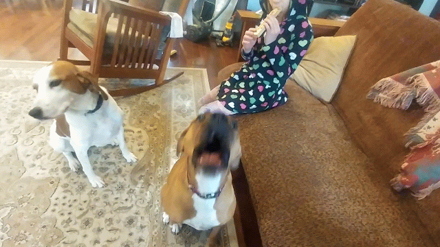 20161028_091851-animation