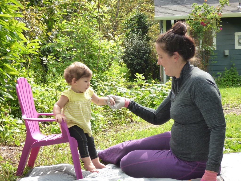 26193319013_cb33831ec2_k